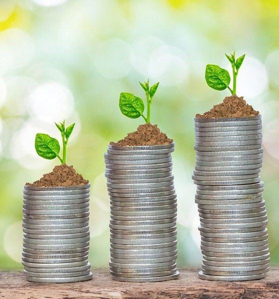 Sustainable Development